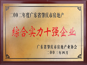 綜合實力十強企業
